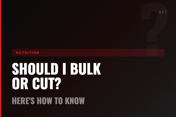 Should I Bulk Or Cut?