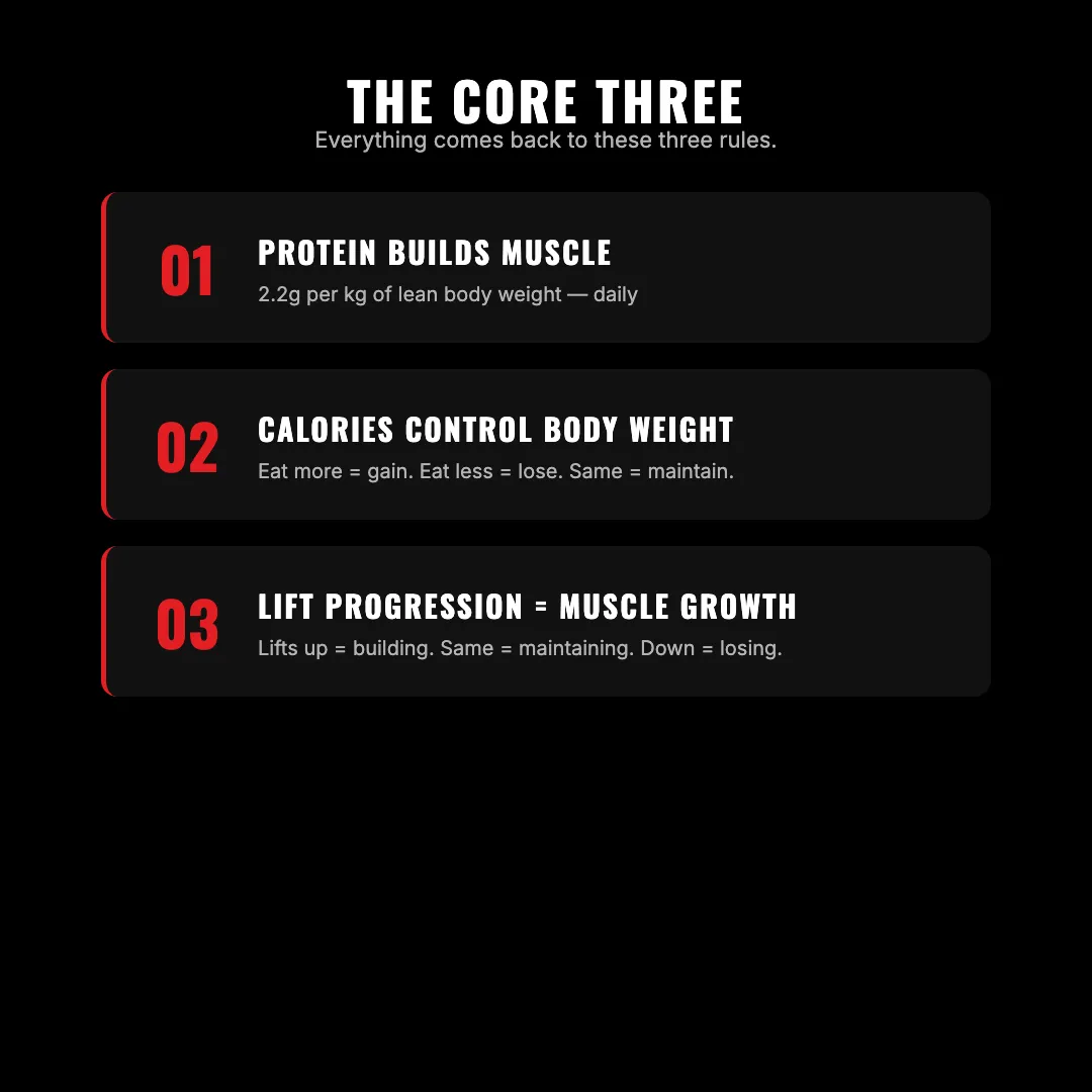 The Core Three — protein builds muscle, energy balance controls body weight, lift progression controls muscle growth