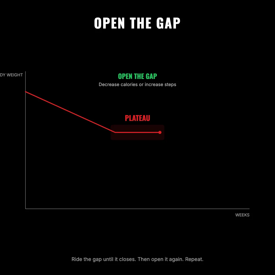 Open the Gap — when fat loss stalls, decrease calories or increase steps to widen the gap between what you eat and what you burn